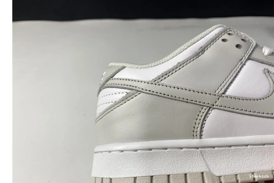 Dust" Nike Low DD1503-103 "Photon Dunk 1107